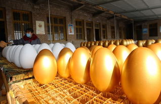 苍溪兴隆工艺品厂借力互联网，年销40万枚金蛋创奇迹