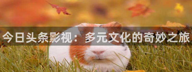 金牌荣耀电影韩国免费观看：今日头条影视：多元文化的奇妙之旅