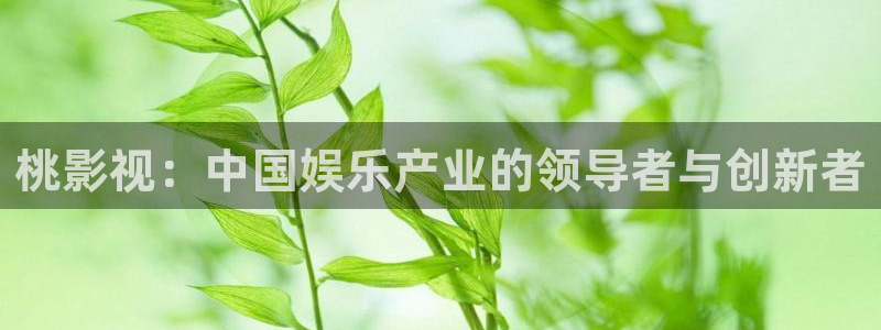 金牌影院正版：桃影视：中国娱乐产业的领导者与创新者