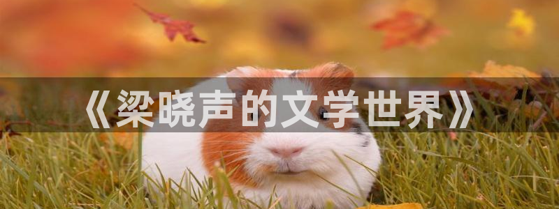 金牌销售电影免费观看：《梁晓声的文学世界》