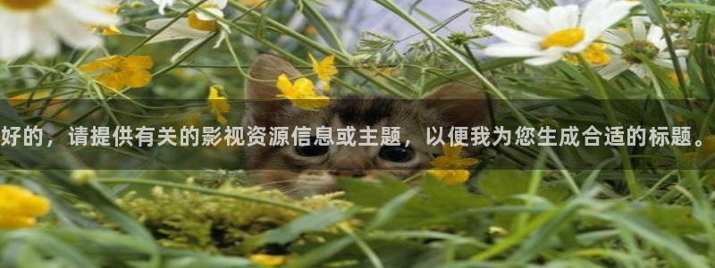 金牌影院入口官网：好的，请提供有关的影视资源信息或主题，以便我为您生成合适的标题。