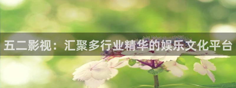 金牌特勤队2024电影在线观看：五二影视：汇聚多行业精华的娱乐文化平台